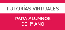 TUTORÍAS VIRTUALES DE ACOMPAÑAMIENTO ACADÉMICO . IUPFA